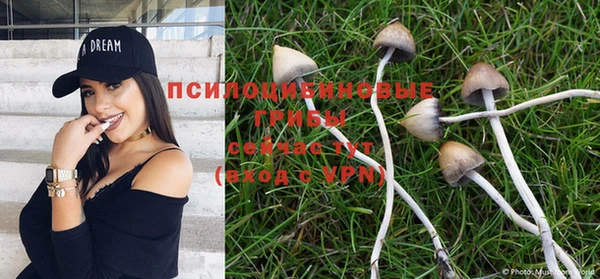 MESCALINE Баксан
